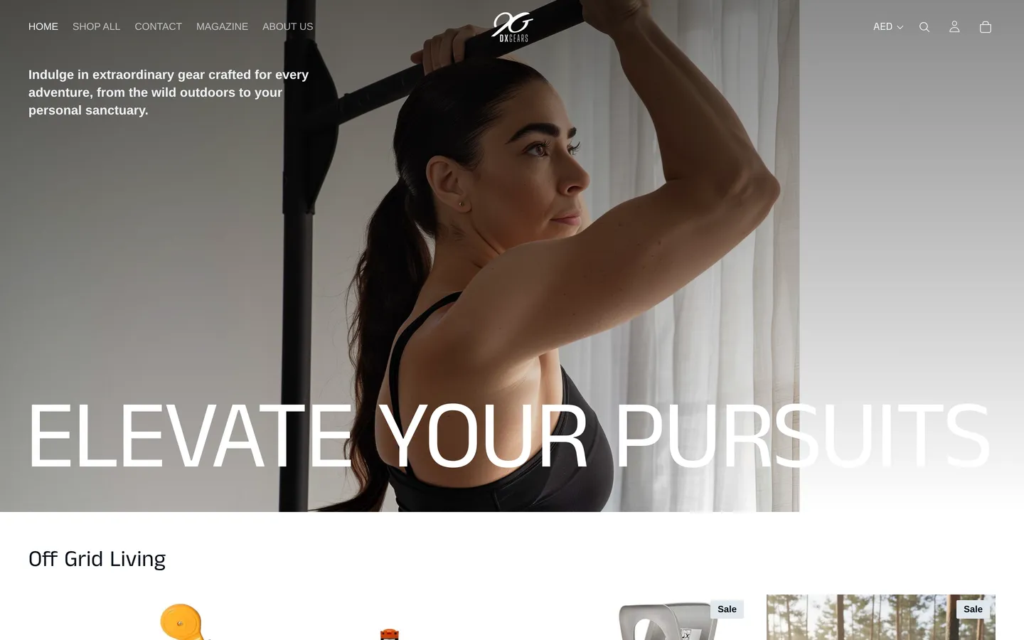 Homepage of DXGEARS (dxgears.com)